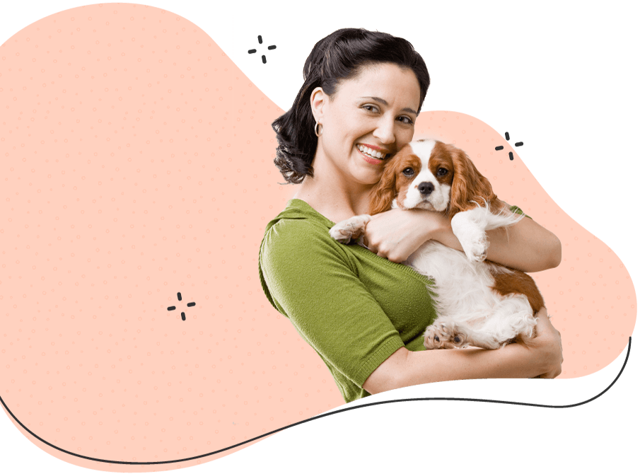 Seattle Pet Sitters Cute doggy Seattle Pet Sitters Cute doggy