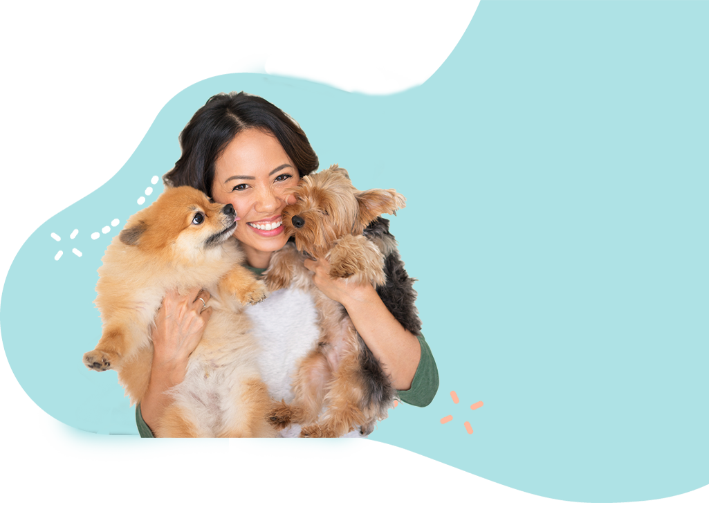 Seattle Pet Sitters & More