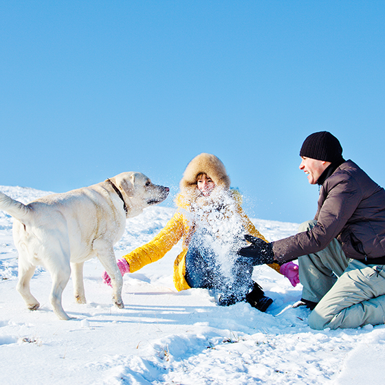 Keeping Your Pet Healthy and Happy all Winter Long
